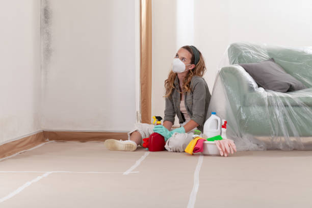 Reliable Mold Remediation contractor in New Berlin, IL by Mold Remediation HQ